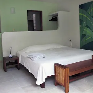 Elements Of The Island Messico
