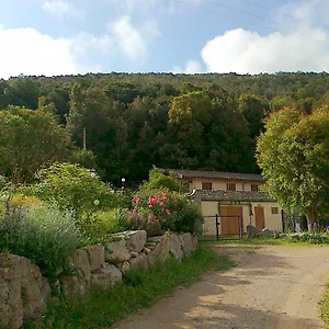 L'amabile Geko Italia