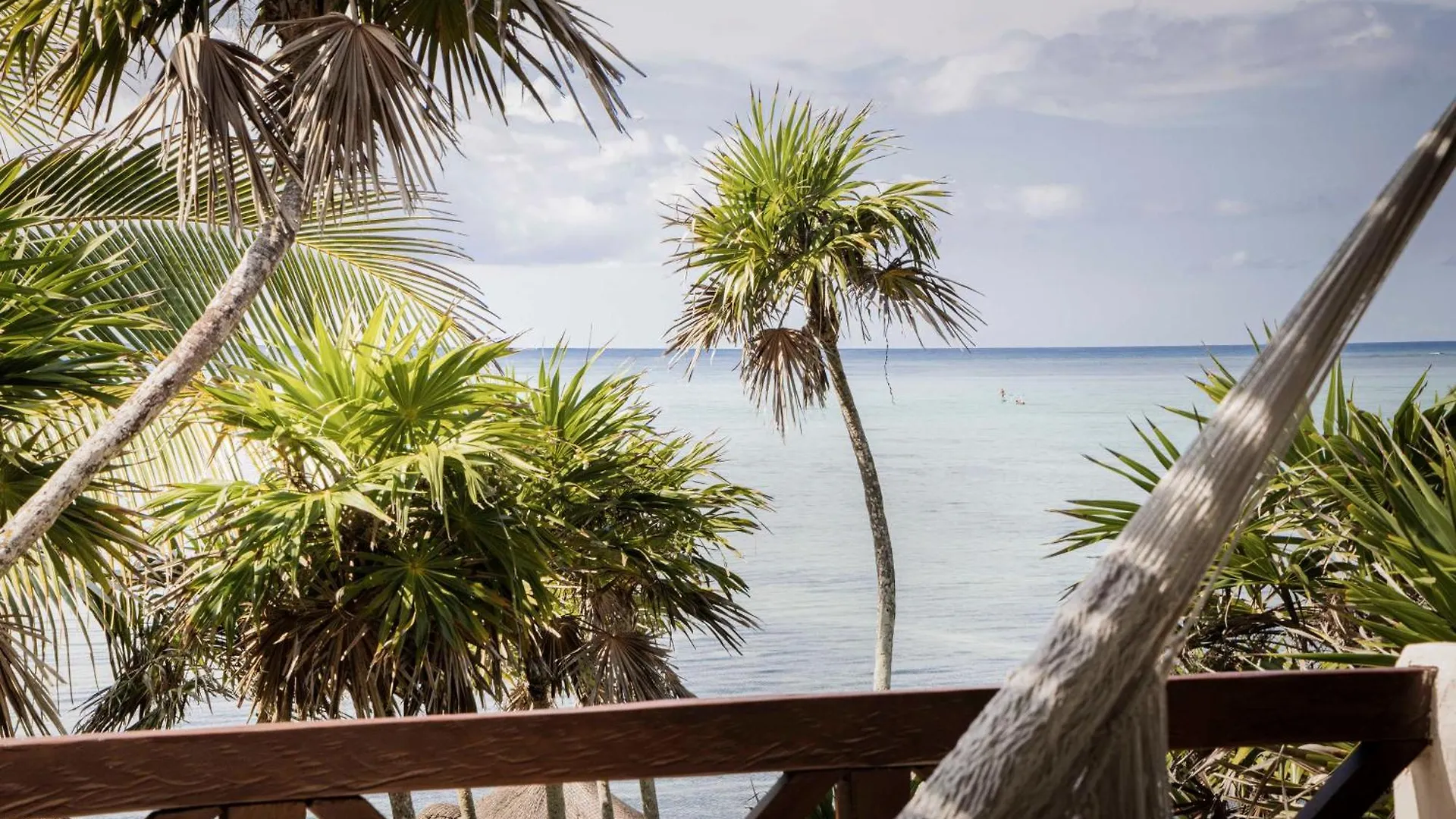 Jashita Hotel (Adults Only) Tulum